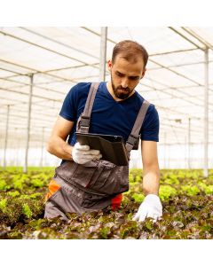 Greenhouse Environmental Controls